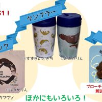 みつめてみよう　カワウソの暮らし in 神戸どうぶつ王国