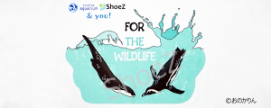 ペンギン・カワウソ　フェイスタオル